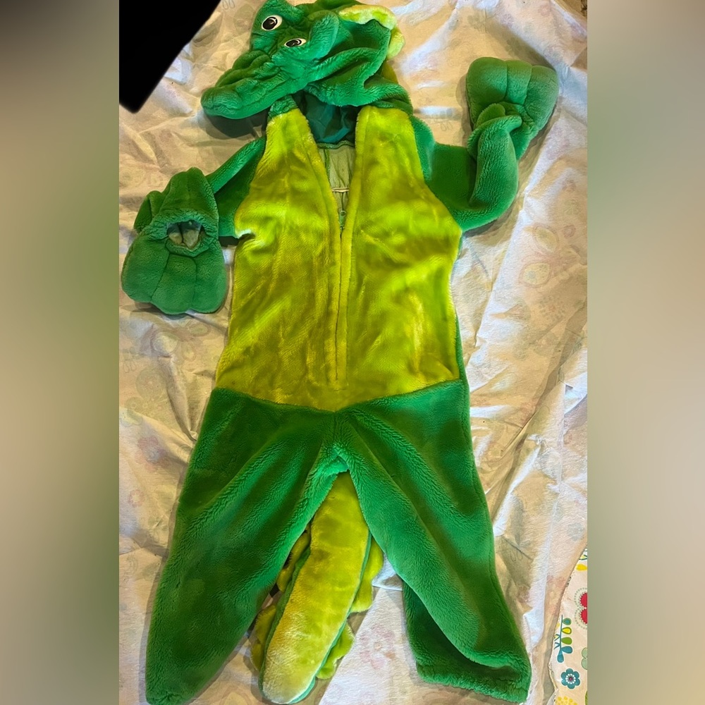 Alligator/Dragon costume